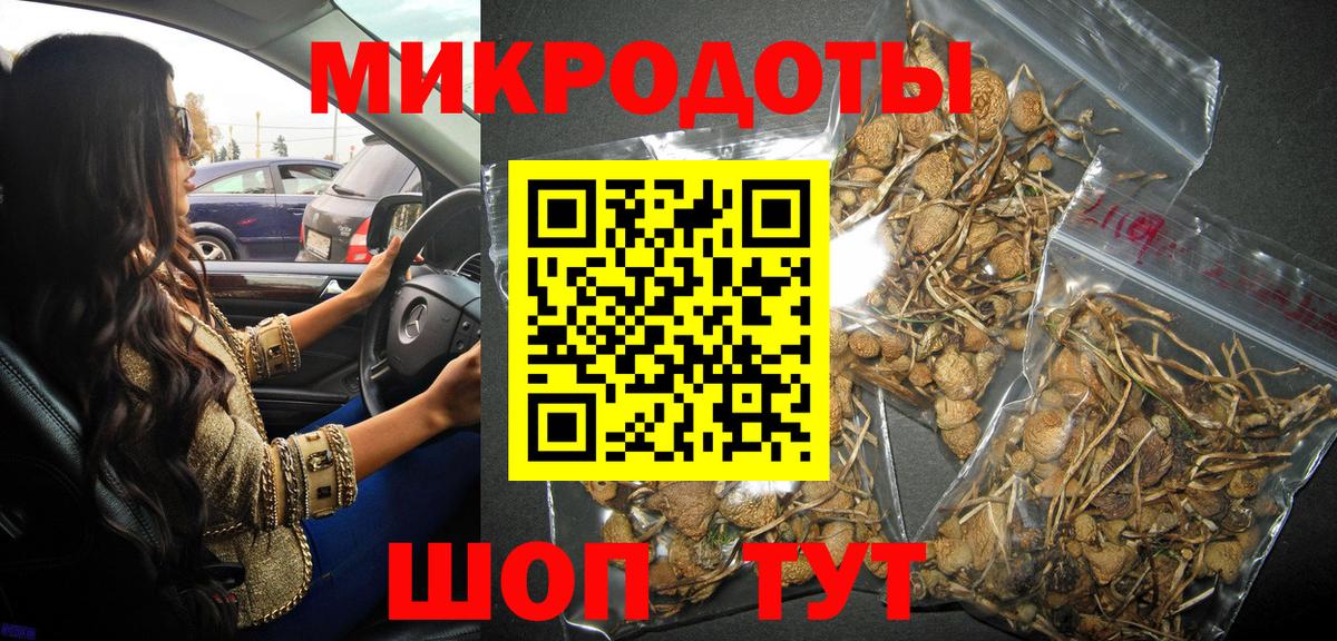 Псилоцибиновые грибы Cubensis  Вход с VPN  Элиста 