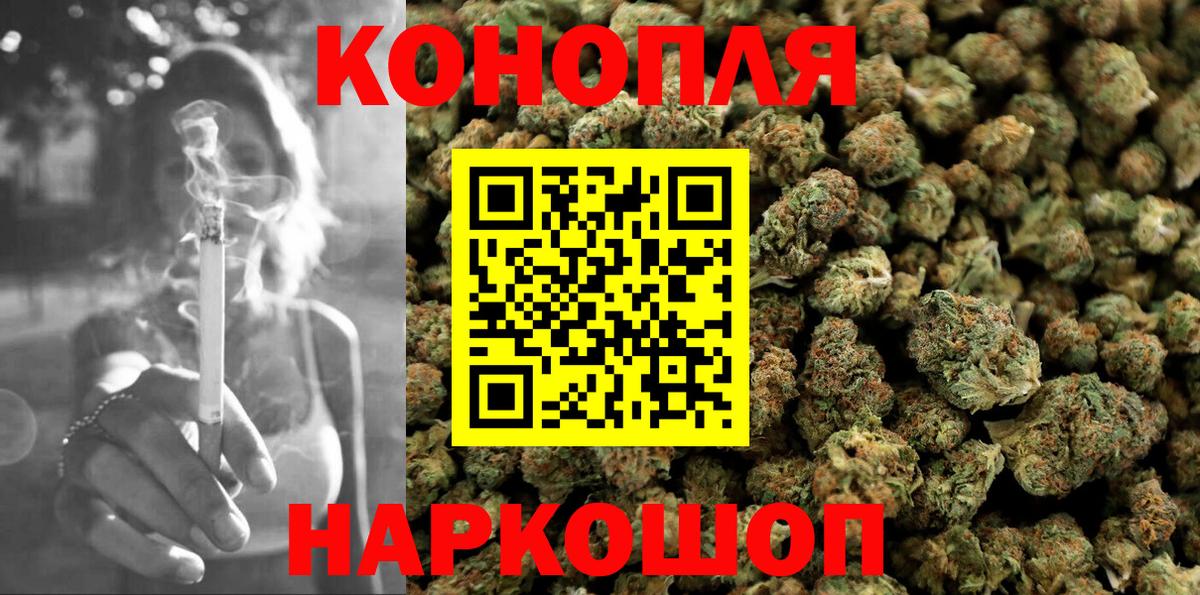 Бошки марихуана план  МАРИХУАНА план  Элиста  Шишки марихуана THC 21%  Конопля Ganja  Вход с VPN 